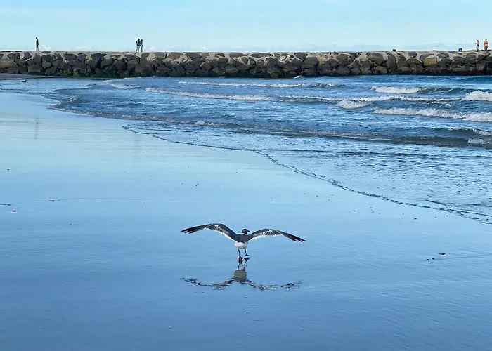 Atlantic City-Waterfront Park-Amazing 360 Views